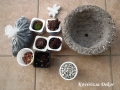 kövirózsás DIY készlet 01 KÓD: DIY 01